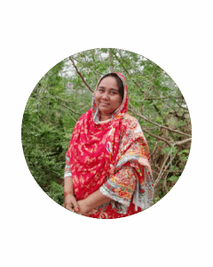 Picture of Mst. Josnara Khatun