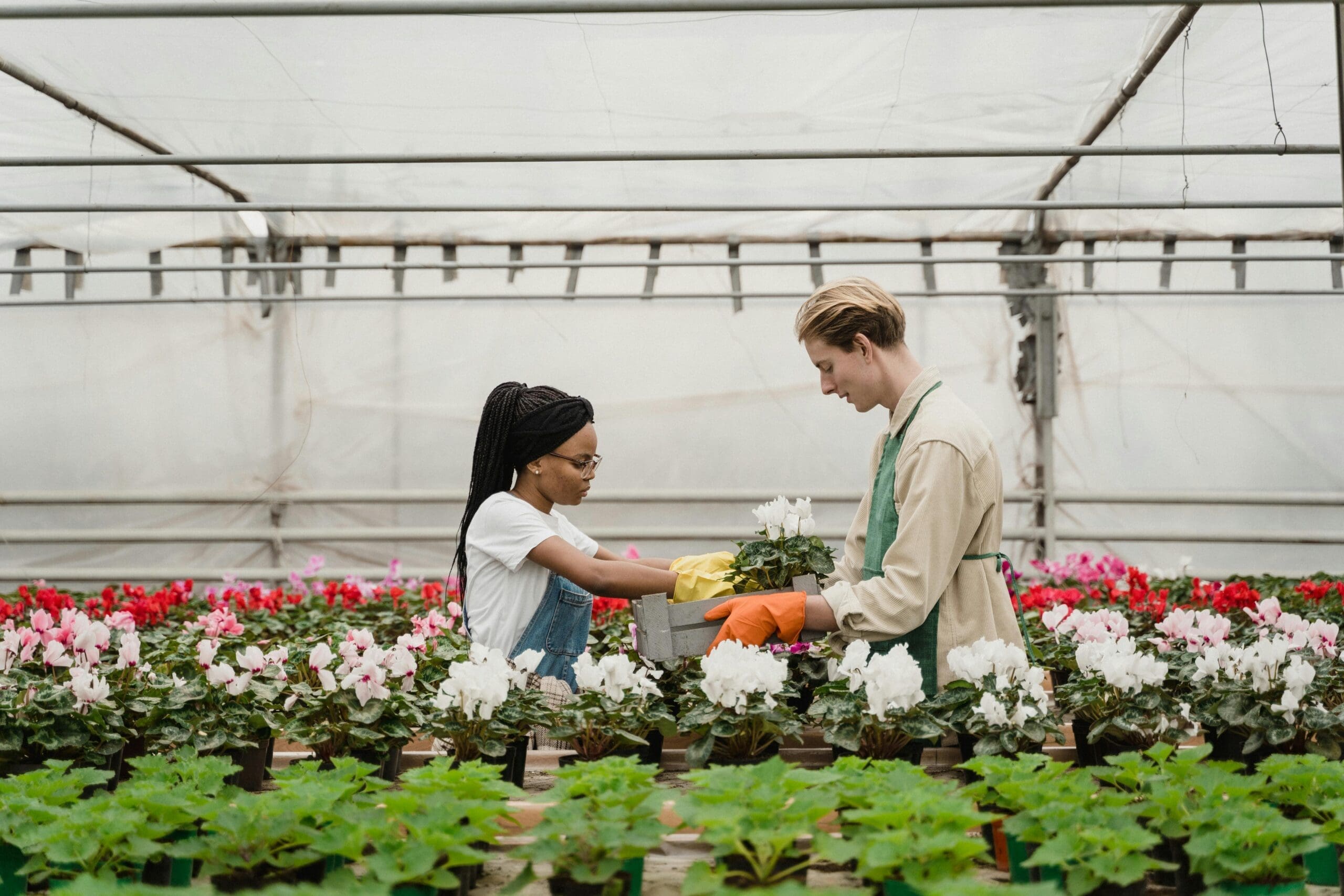 Featured image for Policy recommendations to encourage the adoption of ESG measurement tools among SMEs & startups